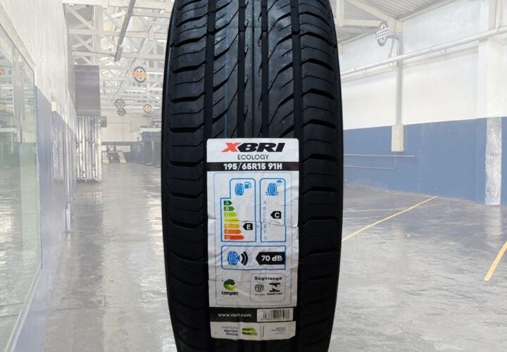 Pneu 195/65R15 Xbri Ecology 91H