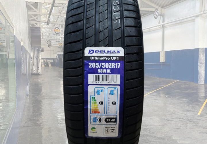Pneu 205/50R17 Delmax Ultimapro UP1 93W